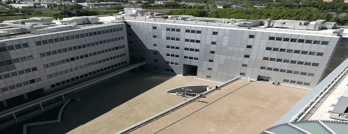 Dipartimento di Medicina Sperimentale