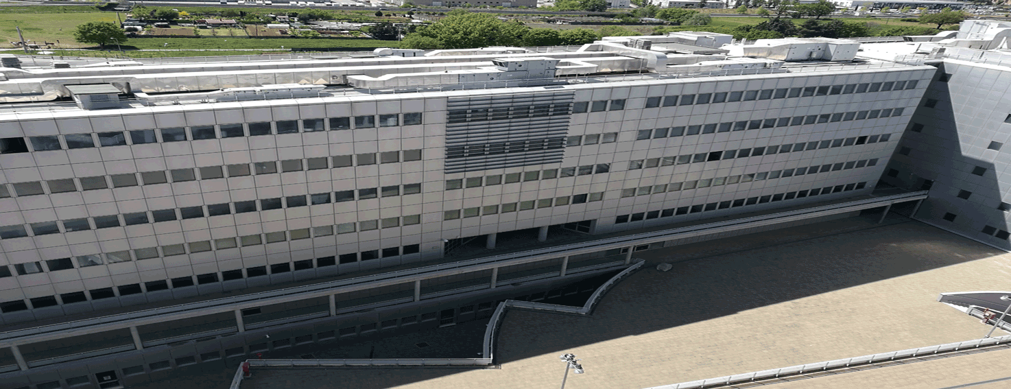 Dipartimento di Medicina Sperimentale