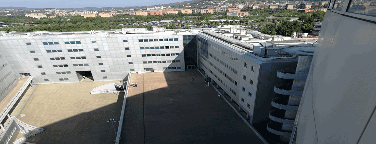 Dipartimento di Medicina Sperimentale