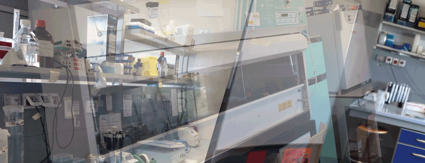 Dipartimento di Medicina Sperimentale